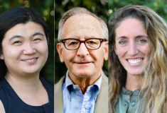 Saam Architecture names new shareholders